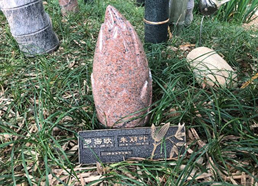 雅竹清趣图片
